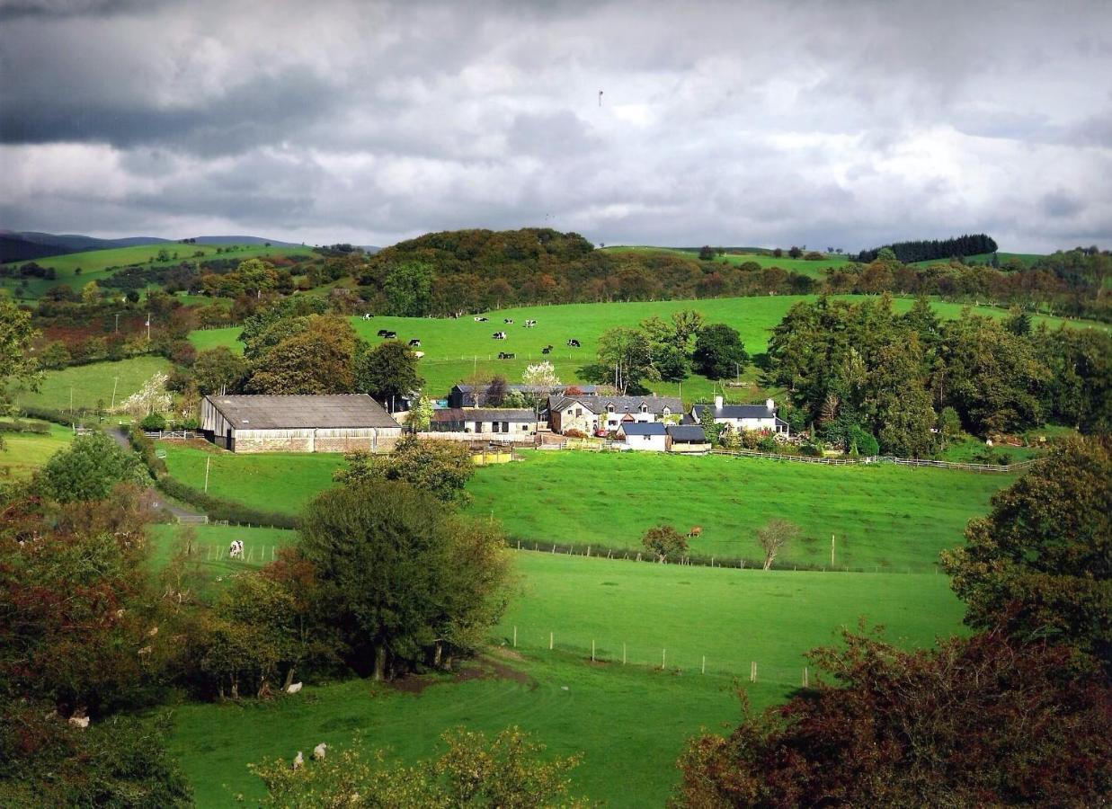 Sheep Dip Cottage - 5* Cyfie Farm, With Log Burner And Private Hot Tub Llanfyllin エクステリア 写真