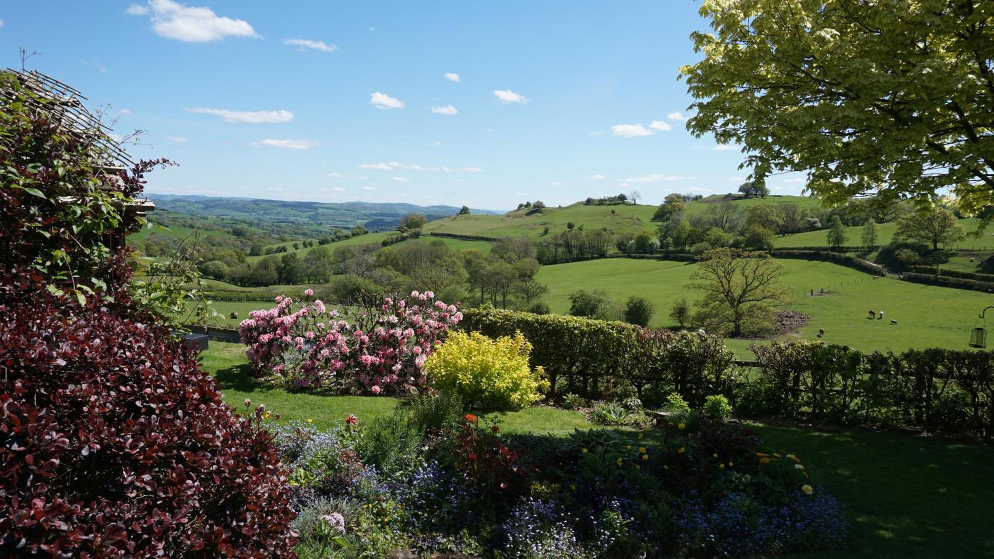 Sheep Dip Cottage - 5* Cyfie Farm, With Log Burner And Private Hot Tub Llanfyllin エクステリア 写真